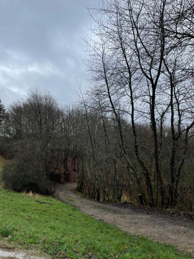 Ferienhaus Buchali Harscheid Zewnętrze zdjęcie
